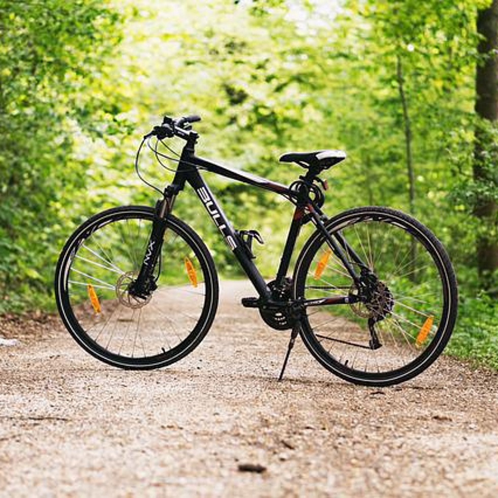 Ein Fahrrad auf einem Waldweg