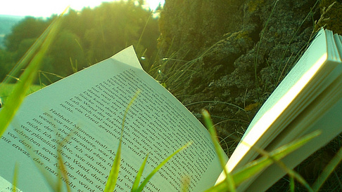 Buch liegt im Gras